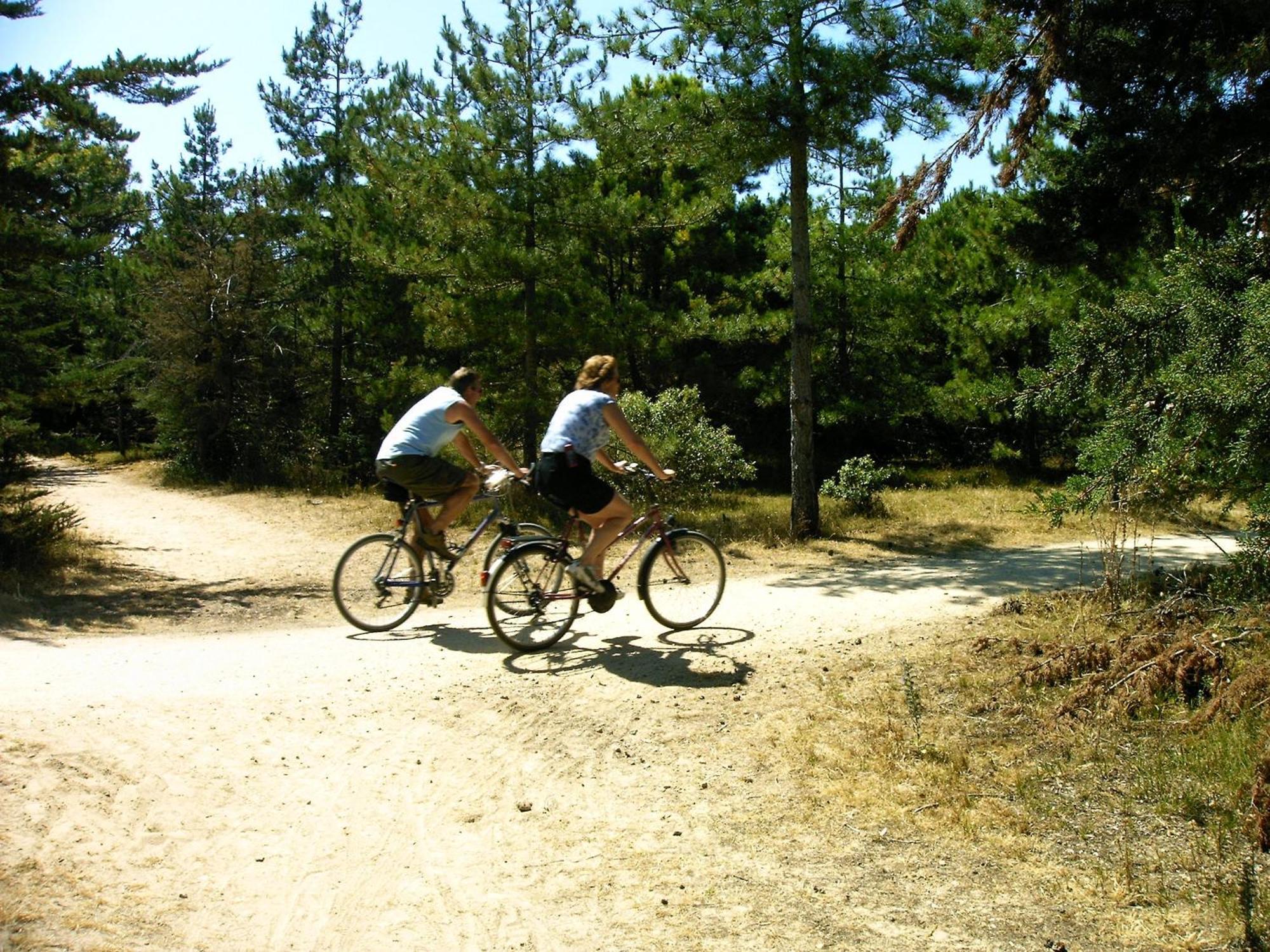 La Foret